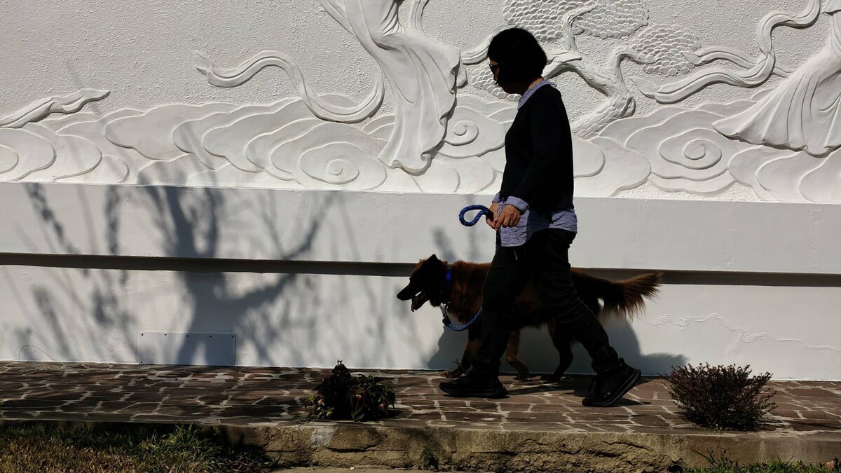 記錄上師仁波切2026年